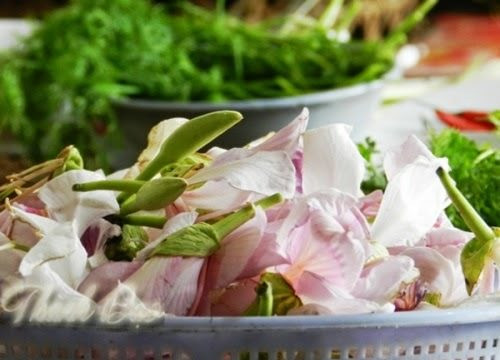 Đến Mộc Châu nhất định bạn phải thử những món ăn từ hoa ban