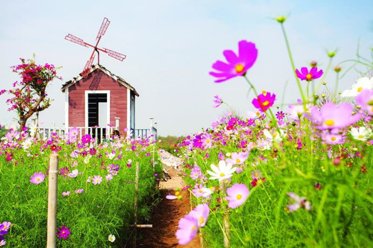 5 vườn hoa đẹp nhất Hà Nội