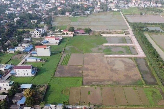 Hà Nội đấu giá 15 thửa đất tại huyện Thạch Thất với giá khởi điểm  gần 5 tỷ đồng/lô đất