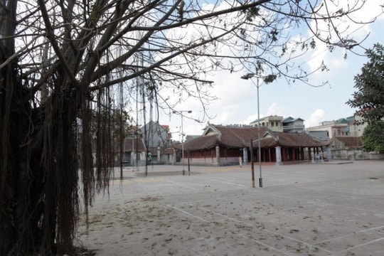 Đình Đinh Xuyên (huyện Ứng Hoà)