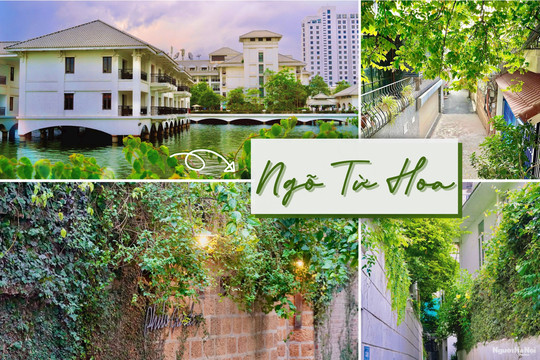 Ngõ Từ Hoa – điểm “check in” cho những tâm hồn lãng mạn ở Hà Nội