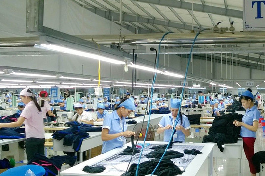 Hà Nội chuẩn bị thu thập thông tin thị trường lao động năm 2023