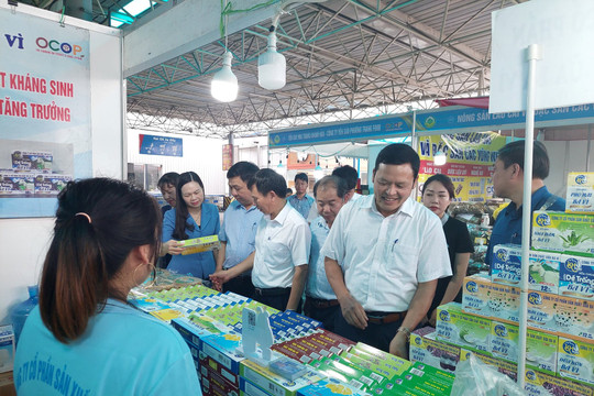 Hà Nội: Hàng nghìn sản phẩm OCOP đến với người tiêu dùng