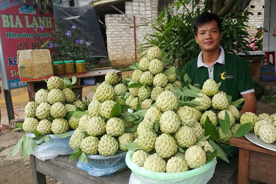 Chuẩn bị diễn ra Ngày hội Văn hóa thể thao các dân tộc huyện Chi Lăng năm 2023