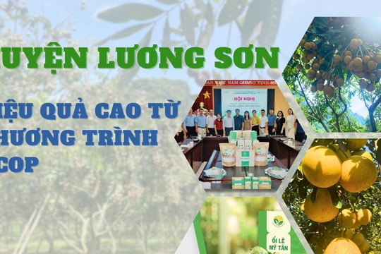 Huyện Lương Sơn (Hoà Bình): Hiệu quả cao từ chương trình OCOP