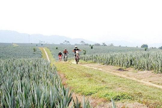 Giải đua mô tô địa hình tỉnh Lai Châu diễn ra vào ngày 2/12