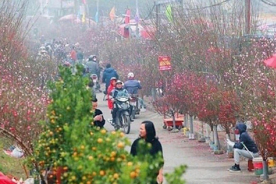 Hà Nội t ổ chức 83 chợ hoa phục vụ Tết Nguyên đán 2024