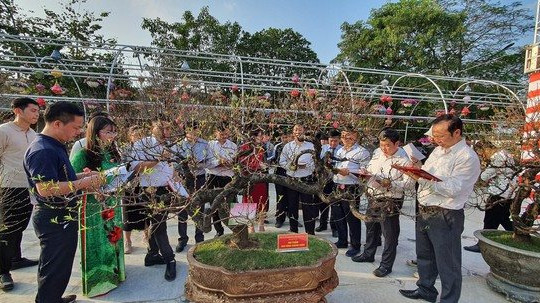 Hà Nội tổ chức Hội thi hoa đào truyền thống cấp Thành phố