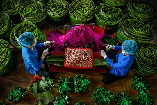 Nghề làm Nem Lai Vung là Di sản văn hóa phi vật thể quốc gia