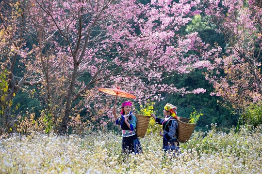 Xuân trên bản