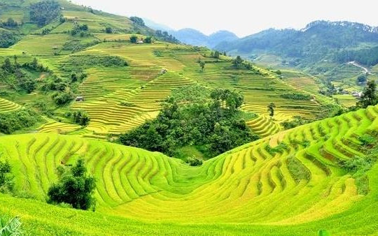 Triển lãm “Du lịch qua các miền di sản và danh thắng Việt Nam”