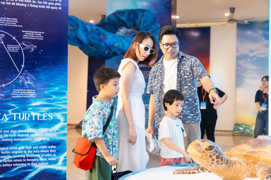 Triển lãm nghệ thuật 1001 rùa biển bằng gốm với tên gọi “Phiêu” đến với công chúng