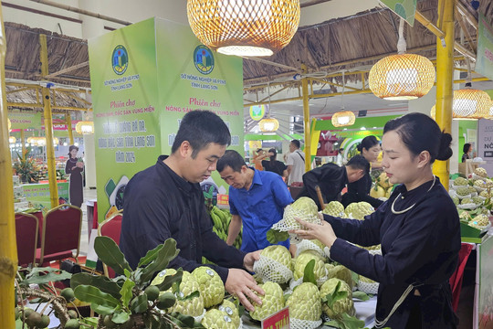 Quảng bá phiên chợ nông sản, đặc sản vùng miền lần thứ 2 tại Thủ đô