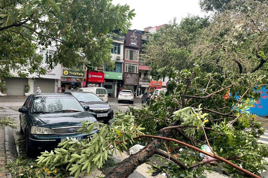 Chủ tịch Hà Nội yêu cầu tập trung xử lý giao thông, cấp điện, tiêu nước sau bão số 3