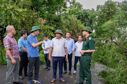 Hà Nội tập trung khắc phục hậu quả do ảnh hưởng của bão số 3, chủ động phòng, chống thiên tai thời gian tới