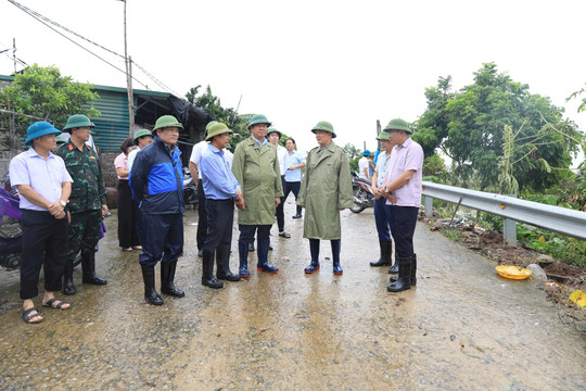 Chủ tịch HĐND thành phố Hà Nội Nguyễn Ngọc Tuấn kiểm tra các tuyến đê tại huyện Thường Tín