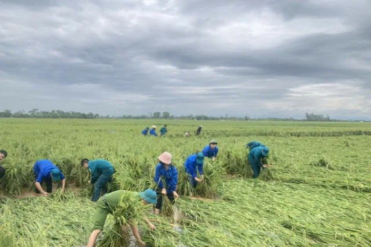 Hà Nội: Công tác triển khai ứng phó với bão số 3 tính đến 7h00 ngày 10/9/2024