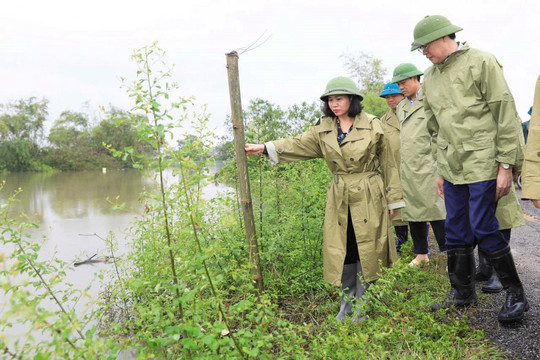 Hà Nội: Công tác khắc phục bão số 3 và mưa úng sau bão