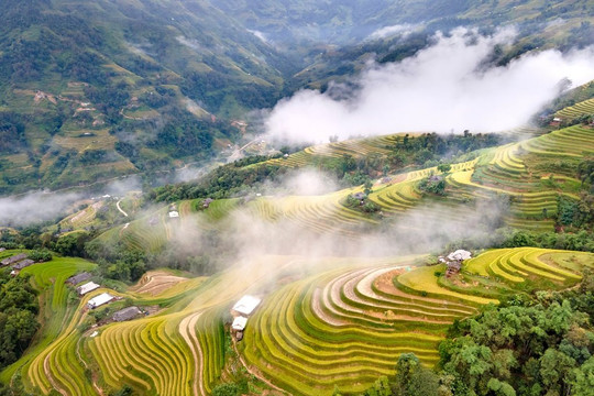 Dừng tổ chức Tuần Văn hóa du lịch ”Qua miền di sản ruộng bậc thang Hoàng Su Phì” năm 2024