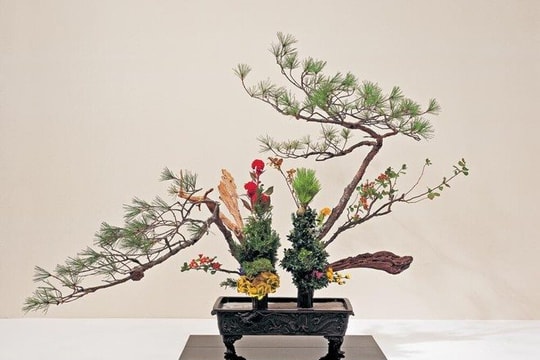 Giới thiệu nghệ thuật cắm hoa Nhật Bản Ikebana lần thứ VII tại Hà Nội