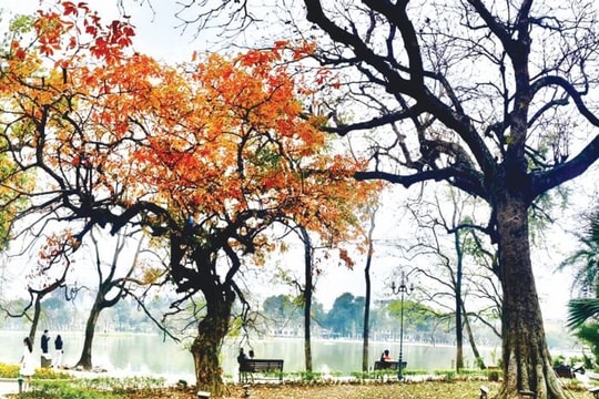 Yêu Hà Nội từ những trang văn