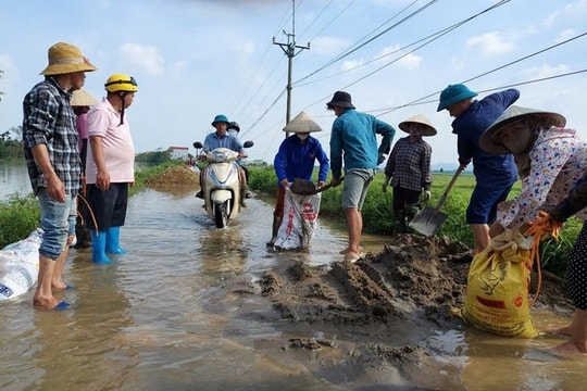 Công bố khẩn cấp tình trạng sạt lở đê hữu Bùi trên địa bàn huyện Chương Mỹ