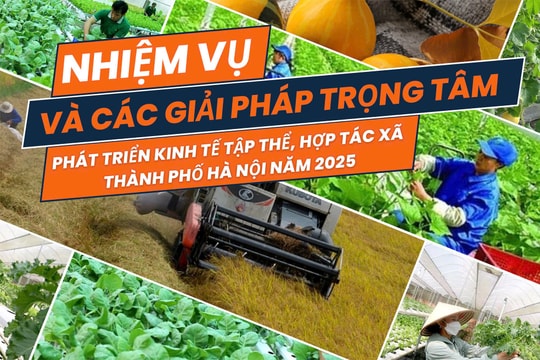 [Inforgraphic] 5 nhiệm vụ, giải phát trọng tâm phát triển kinh tế tập thể, hợp tác xã Thành phố Hà Nội năm 2025