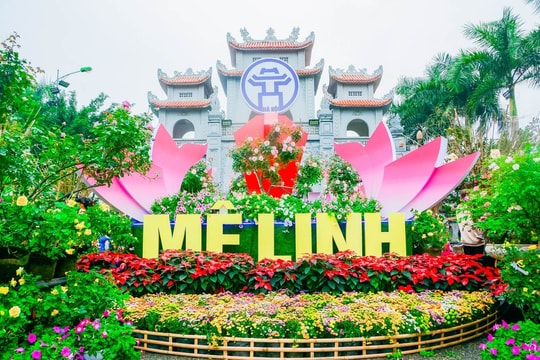 Sắp diễn ra Festival hoa Mê Linh năm 2024