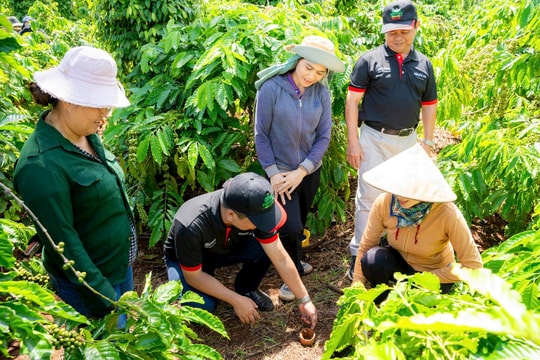 Chương trình NESCAFÉ Plan được vinh danh ở hạng mục cao nhất “Giải thưởng năm”