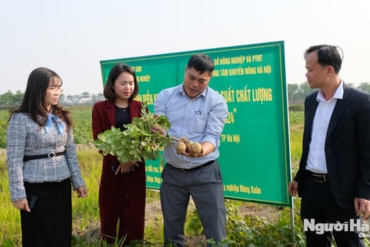 Sóc Sơn (Hà Nội): Hoàn thành thẩm định nông thôn mới nâng cao tại 7 xã