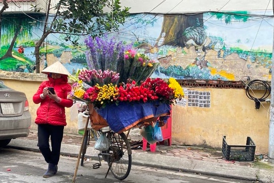 Thủ tướng yêu cầu chủ động ứng phó đợt rét đậm, rét hại kéo dài