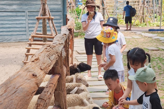 Chi cục Dân số Hà Nội đổi tên thành Chi cục Dân số, Trẻ em và Phòng, chống tệ nạn xã hội