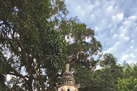 Lễ tắm tượng nhị vị ở chùa Đông Phù