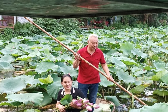 Hà Nội bổ sung thêm 339 hồ, ao, đầm vào danh mục không được san lấp
