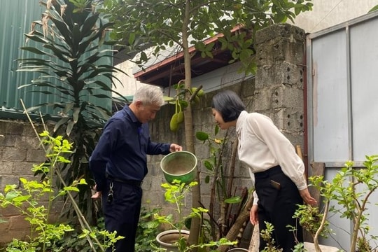 Hà Nội: Dịch sốt xuất huyết vào mùa cao điểm, số ca mắc sởi vẫn cao