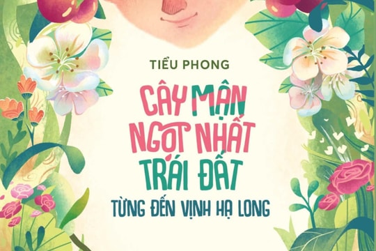 “Cây mận ngọt nhất Trái Đất từng đến vịnh Hạ Long”: Trang sách cảm xúc, sâu sắc về tình cảm gia đình