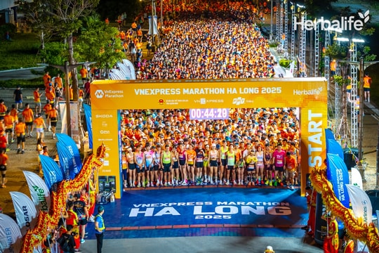 Hơn 10.000 vận động viên tham gia VnExpress Marathon Hạ Long 2025