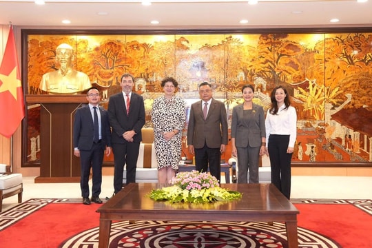 Tổ chức Lễ hội Việt – Đức nhân dịp kỷ niệm 50 năm thiết lập quan hệ ngoại giao giữa hai nước