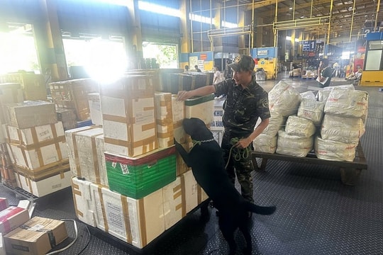 Hà Nội tăng cường công tác phòng, chống và kiểm soát ma túy