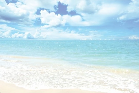 Người đi về phía biển