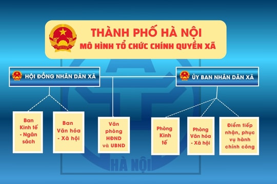 [Inforgaphic] Mô hình sơ đồ tổ chức chính quyền xã thuộc Thành phố Hà Nội từ 1/7/2025