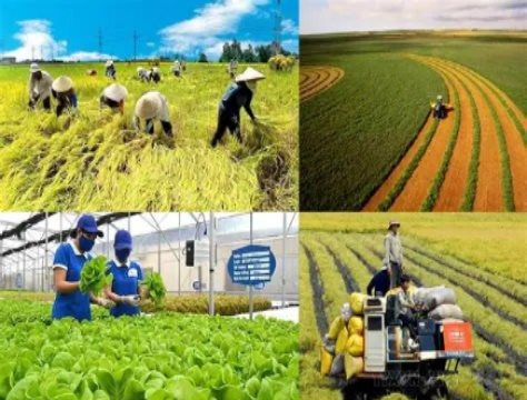 Thành lập Hội đồng bình chọn sản phẩm công nghiệp nông thôn tiêu biểu cấp thành phố Hà Nội năm 2025