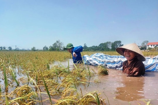 Hà Nội chủ động phòng ngừa, ứng phó, khắc phục hậu quả thiên tai