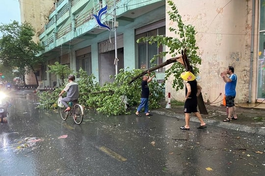 Xã Thanh Trì trực 24/24, sẵn sàng ứng phó bão số 3