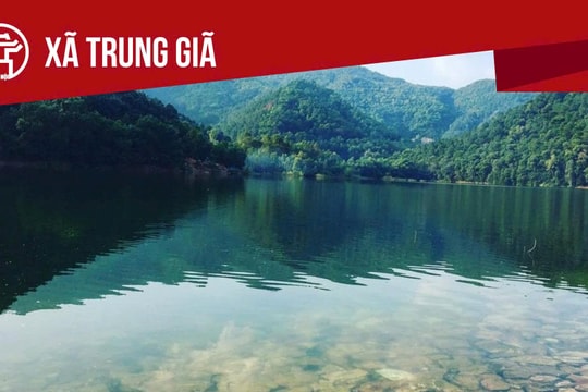 Xã Trung Giã công bố đường dây nóng tiếp nhận thông tin phản ánh về hoạt động xây dựng, quản lý đất đai