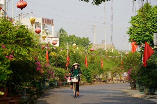 Hà Nội tổ chức Lễ công bố hoàn thành nhiệm vụ xây dựng nông thôn mới năm 2024