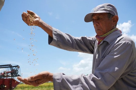 "Hạt giống hạnh phúc" - Phim tài liệu đặc biệt về tình hữu nghị Việt Nam và Cuba phát sóng tối 2/9
