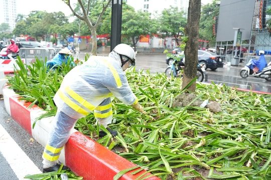 Yêu nước từ những hành động nhỏ