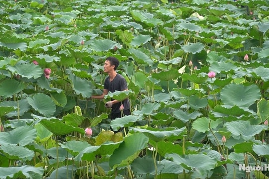 Lãng đãng hồ Tây