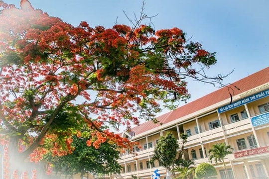 Buổi đầu trở lại tuổi thơ